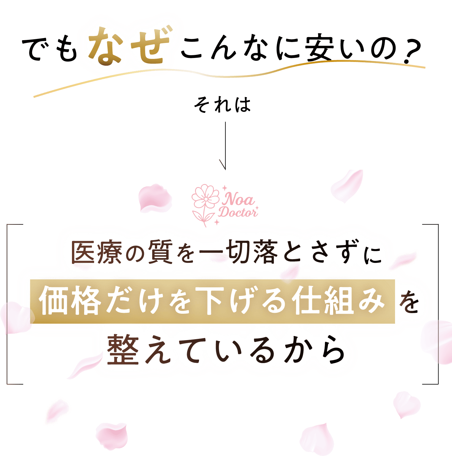 なぜこんなに安いの？
